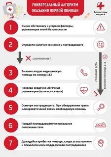 С чего начинается алгоритм оказания первой помощи
