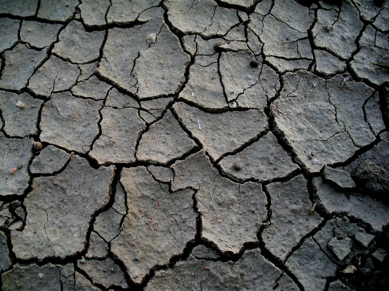 Рисунок влажная почва и сухая почва. Cracked do am. Текстура разрушения. Ground soil art. Засуха пиксабай.