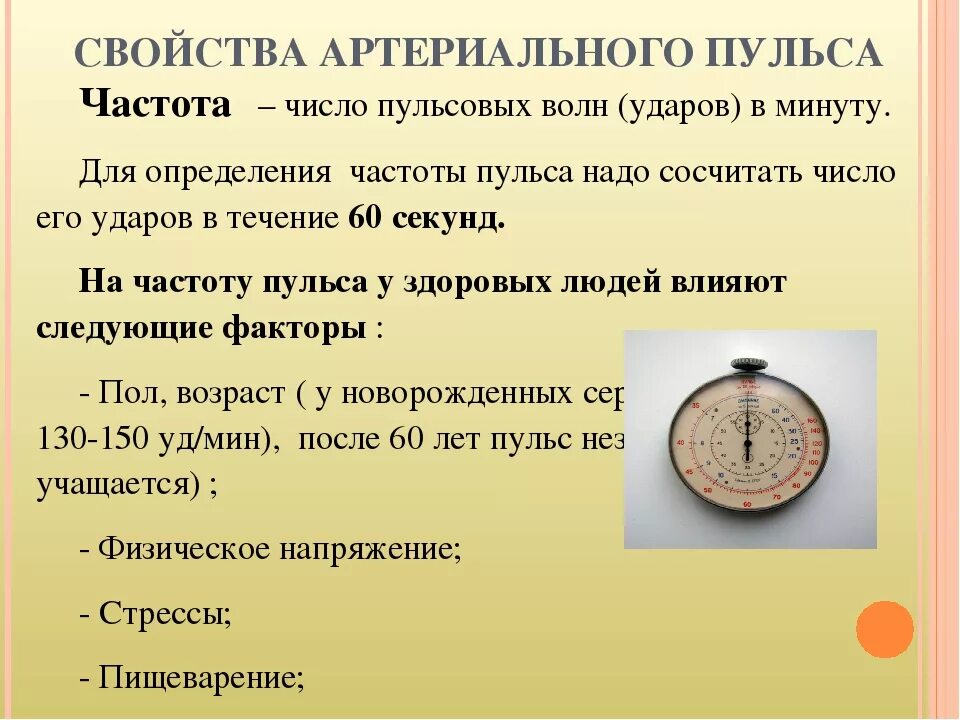 Пульс менее 40 ударов. Частота артериального пульса. о чем говорит частота пульса. факторы частоты пульса. количество пульсовых волн в минуту:.