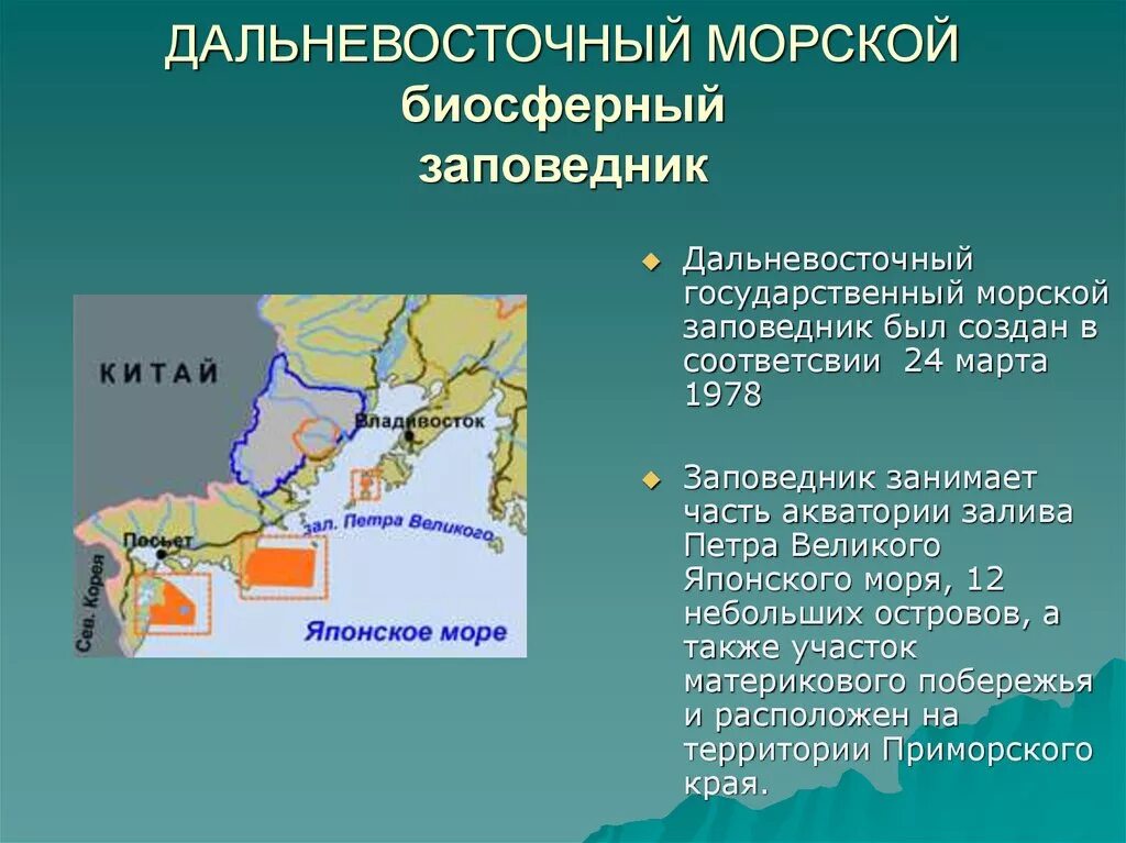 Залив петра великого на карте мира показать. Дальневосточный морской заповедник петра великого. Дальневосточный морской биосферный заповедник на карте. Дальневосточный морской заповедник где находится. Дальневосточный морской заповедник где находится.