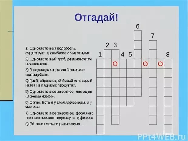 Кроссворд по биологии 7 класс с ответами и вопросами на тему черви. Кроссворд одноклеточных организмов. Кроссворд одноклеточных организмов. Кроссворд на тему животные 7 класс биология. Кроссворд на тему одноклеточные животные.