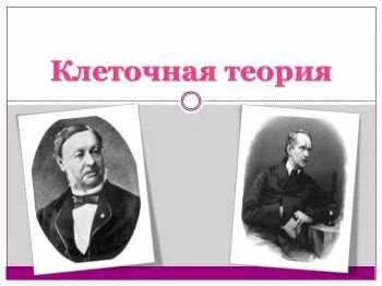 2 клеточная теория строения организмов