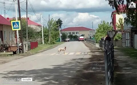Аромашево тюменская