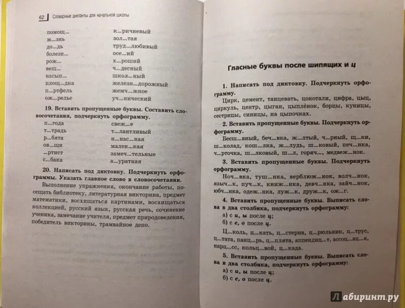 Сочинение под диктовку. Диктант синицы. Диктант синички. Синицы диктант 3. Синица съедает за день диктант