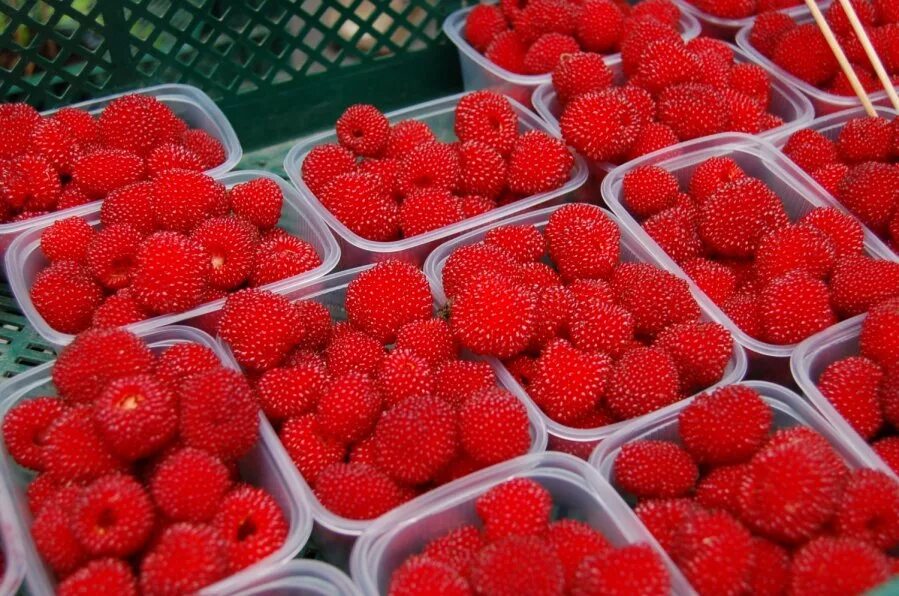 Гибрид клубники и малины как называется
