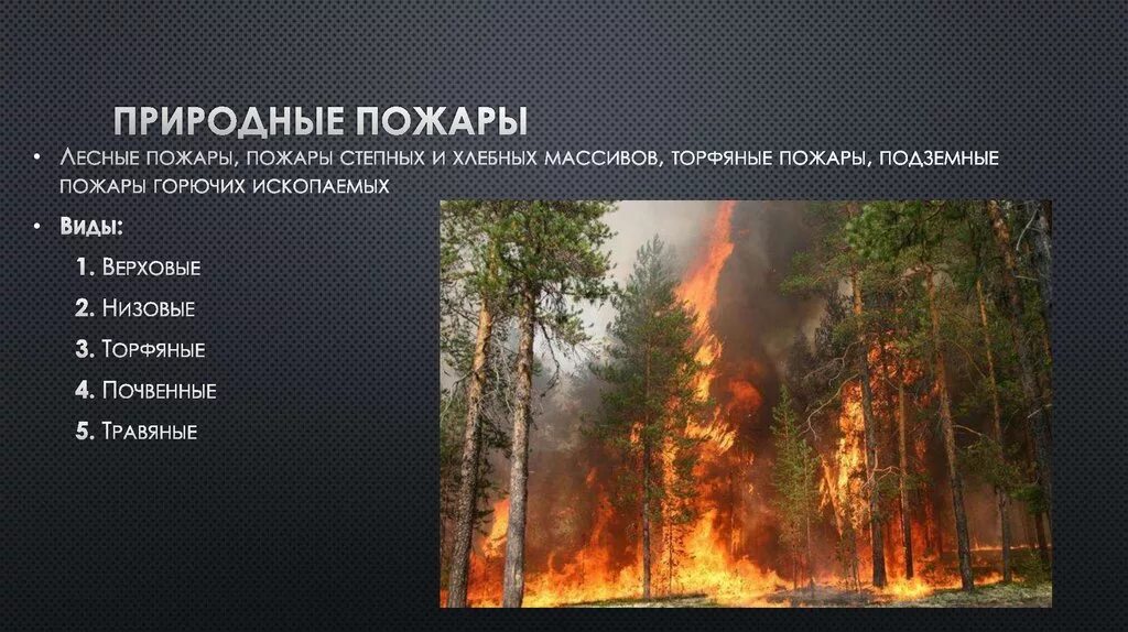 К какому явлению относится пожар. Чс природного характера лесные пожары. природные пожары чс примеры. чс природного характера лесные и торфяные пожары. лесные и степные пожары.