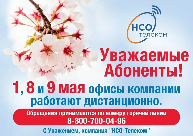 Нсо телеком номер. Нсо телеком номер
