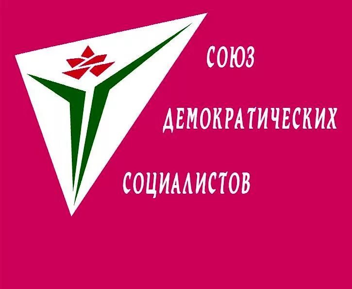 Демократическая партия социалистов