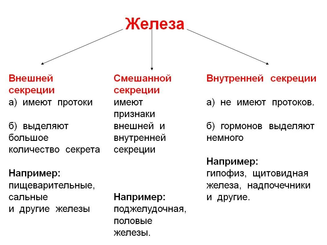 Как отличить железы. Типы желёз внешней секреции. Типы железеенней секреции. Таблица железы внешней внутренней и смешанной секреции 8. Гормоны внешней секреции таблица.