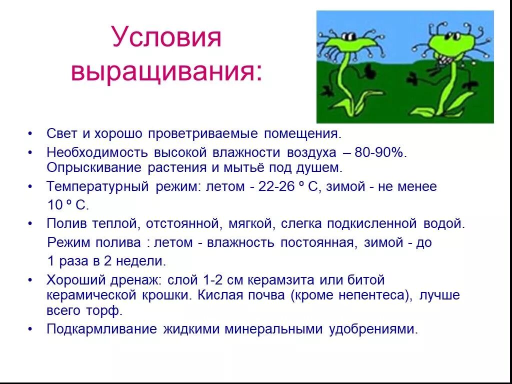 Условия выращивания комнатных растений. Условия размножения микобактерий. Грибы вешенка мицелий ростов. Технология посадки рассады. Разведение крупнорогатого скота.