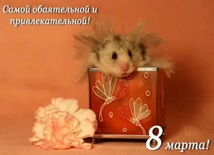 Я не самый обаятельный и приятный