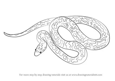 Python рисунок