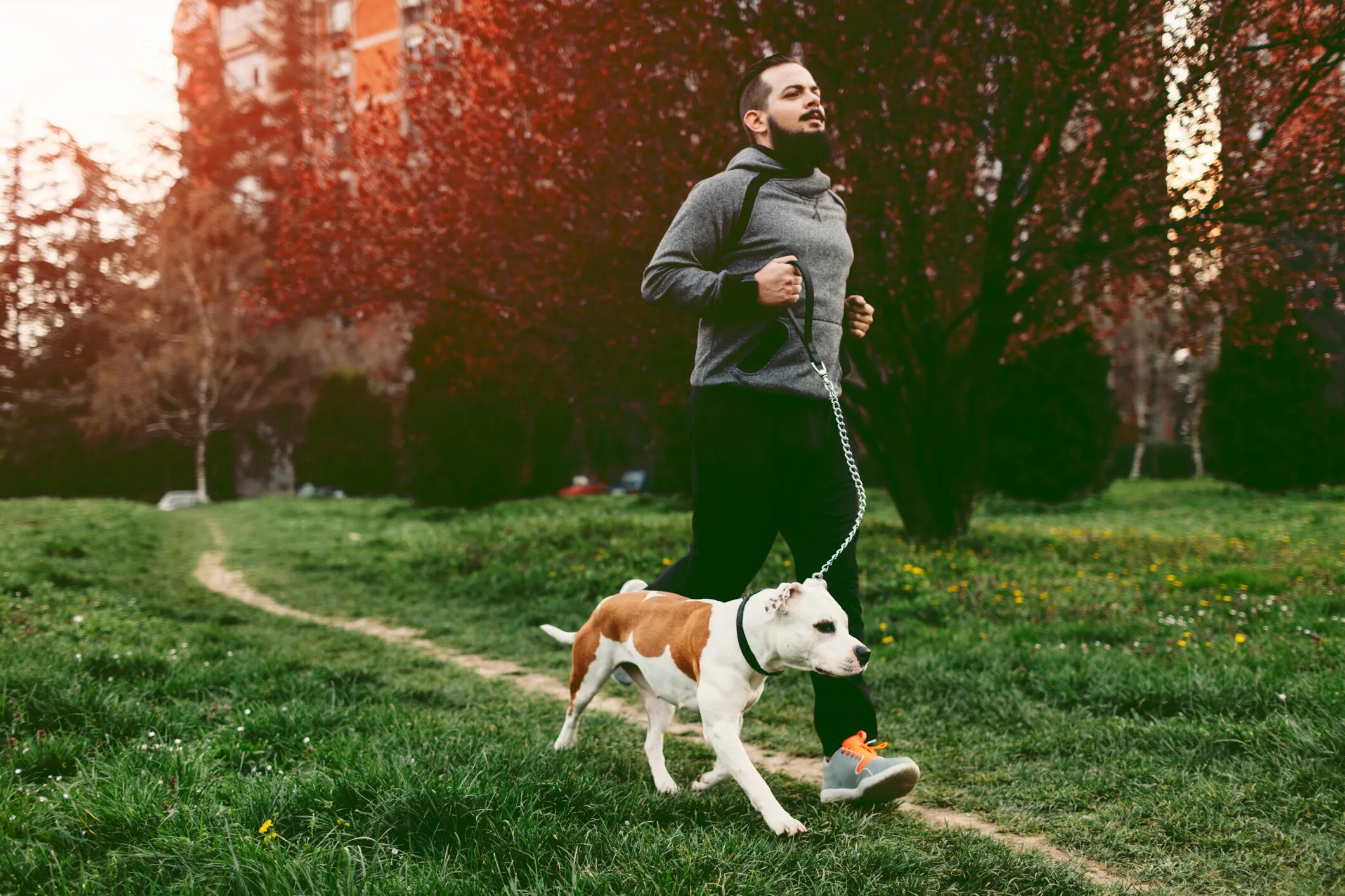 Dog is the man. Мужчина в парке. Счастливая собака с хозяином. Человек с собакой. A dog is in the garden.