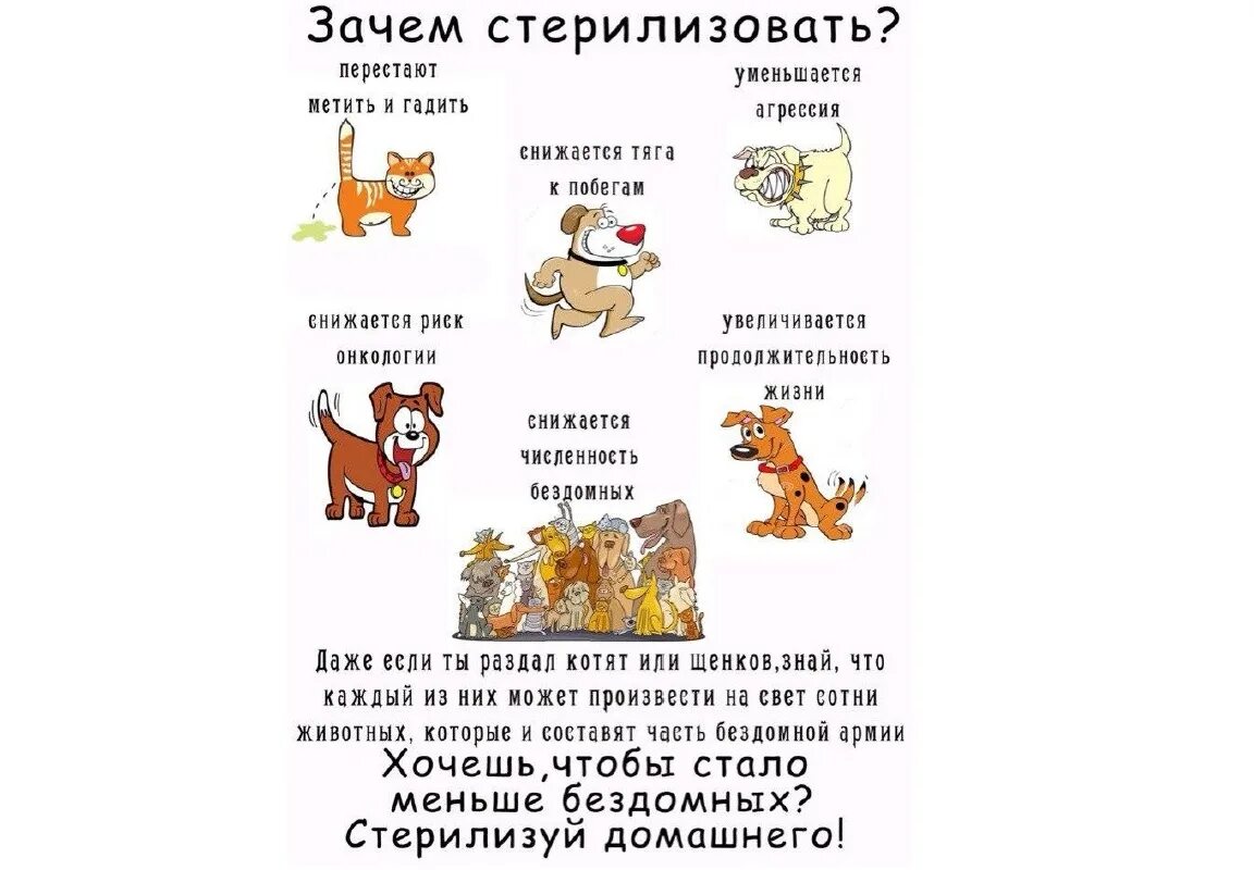 Стерилизация химическими растворами. Вещества для стерилизации. Стерилизация хирургического инструментария. Стерилизуй домашнее животное. Растворы для стерилизации химическим методом.