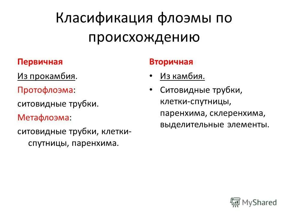 первичные и вторичные ткани