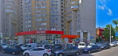 Дон экспертиза