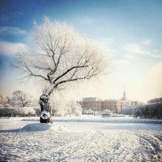 Зимние дни в петербурге