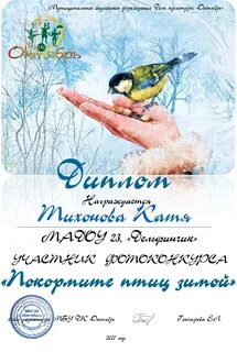 Акция покормите птиц зимой 2024