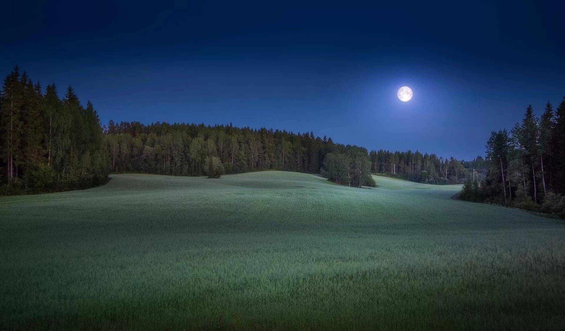 Вдали светит луна. Природа ночью. Поляна в лесу ночью. Ночной лес. Поляна ночью.