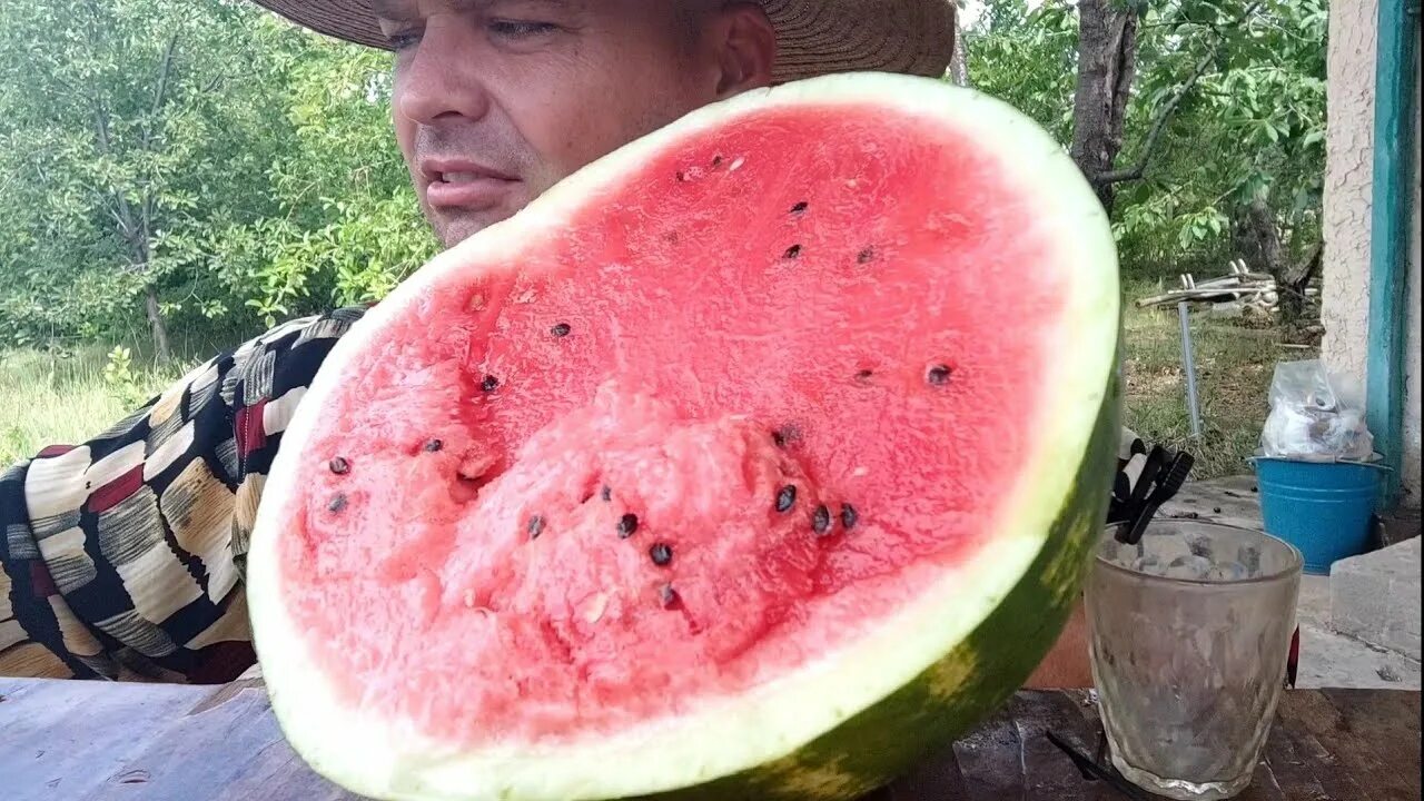 Мякоть арбуза. Арбуз астраханский. Гигантский арбуз. Самый гигантский арбуз в мире. Арбуз.