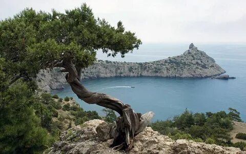 Караул оба