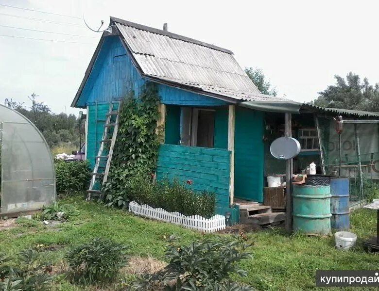 Участок родничок. Садовый участок СНТ. Дача в коллективном саду. Дачный участок Родничок. СНТ Родничок дача.