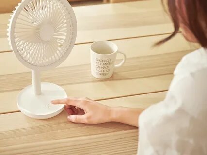 Fan white