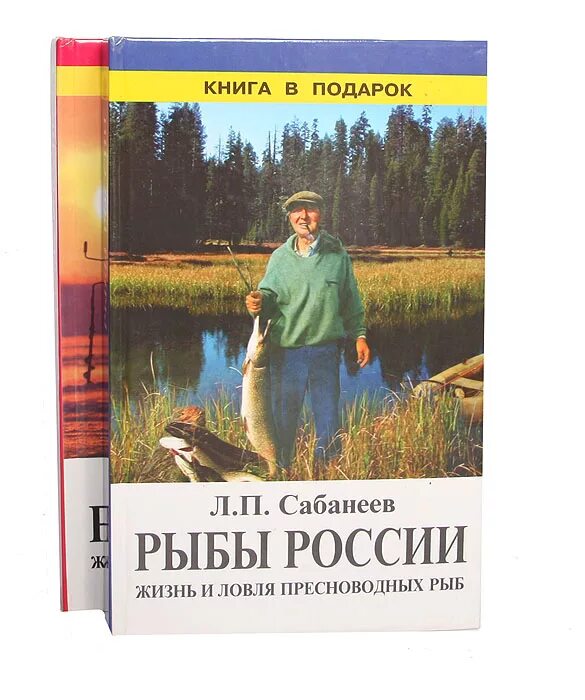 Рыба книги купить. Рыбы России (Сабанеев л.п.) (640стр.). Рыбы России книга Сабанеев. Сабанеев л. п. рыбы России. Жизнь и ловля (уженье) наших пресноводных..