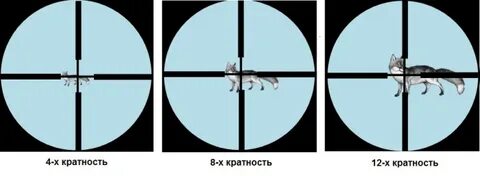 Крат 5