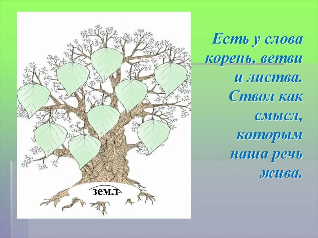 Дерево придумать слова. Дерево с однокоренными словами. Дерево родственных слов. Дере во с однокореныме словами. Дерево однокореннхлов.