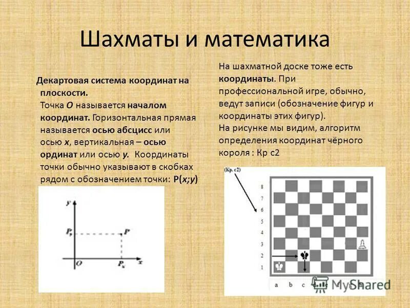 Система координат информатика. Точка 0 называется началом. Любая точка плоскости является вектором. Понятие вектора. Точка лежит на оси координат.