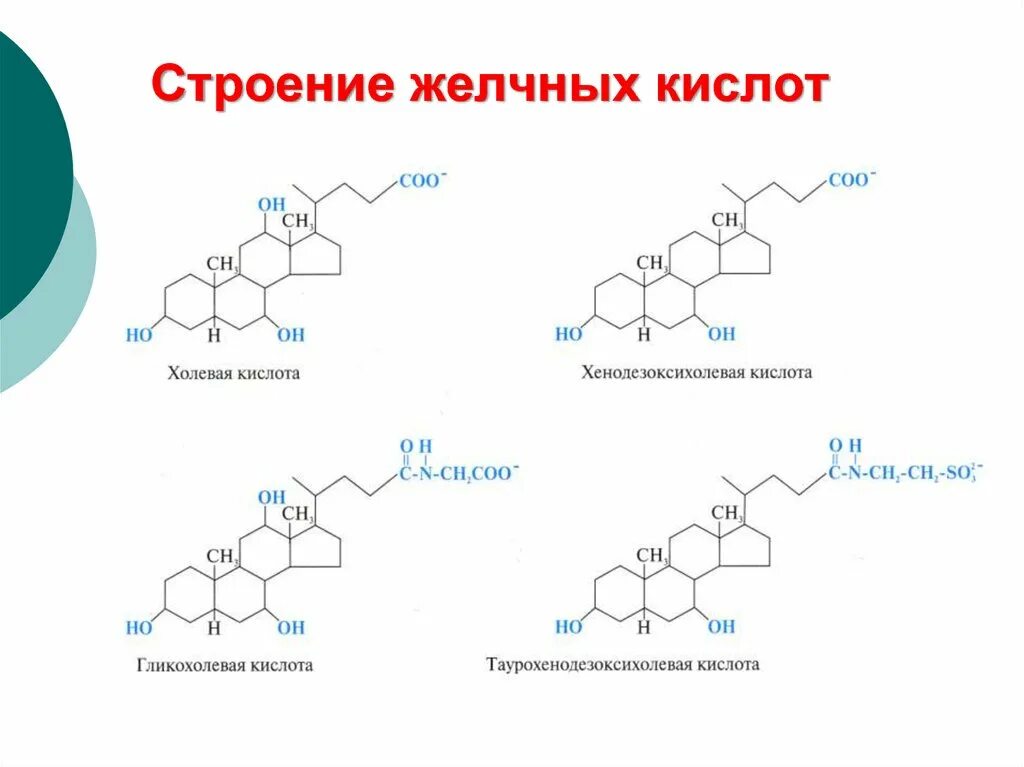 Структура кислот. Холевая кислота строение. хим структура желчных кислот. холевая кислота биороль. желчные кислоты химическое строение.