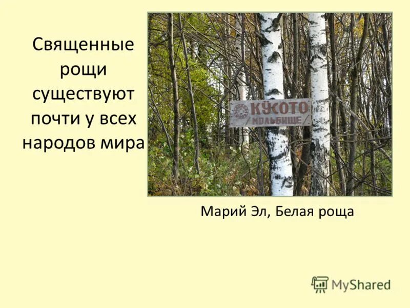 экологической системе жизнеобеспечения. существование почти. существование почти. описание животного из планктонной зоны ракообразные. обработка кости,дерева,металла презентация.