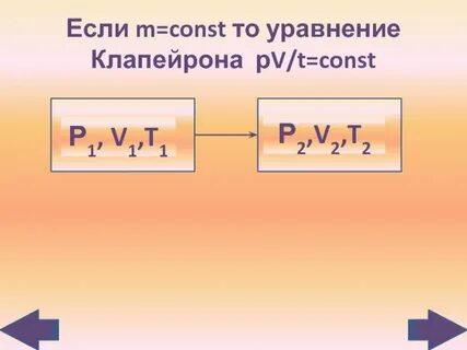 P v n r t