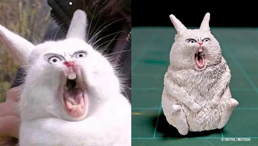 Rabbit memes. Смешные кролики.