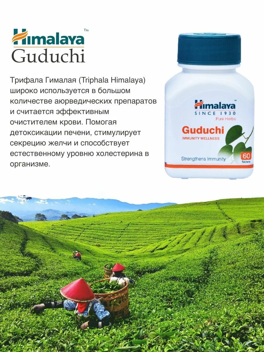 Гудучи. Guduchi Himalaya. Himalaya для иммунитета. Хималая бренд.