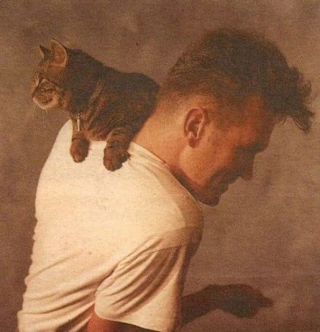 Морриси. Morrissey Cats. Morrissey with Cat. Моррисси с кошками. Моррисси с котом на голове.