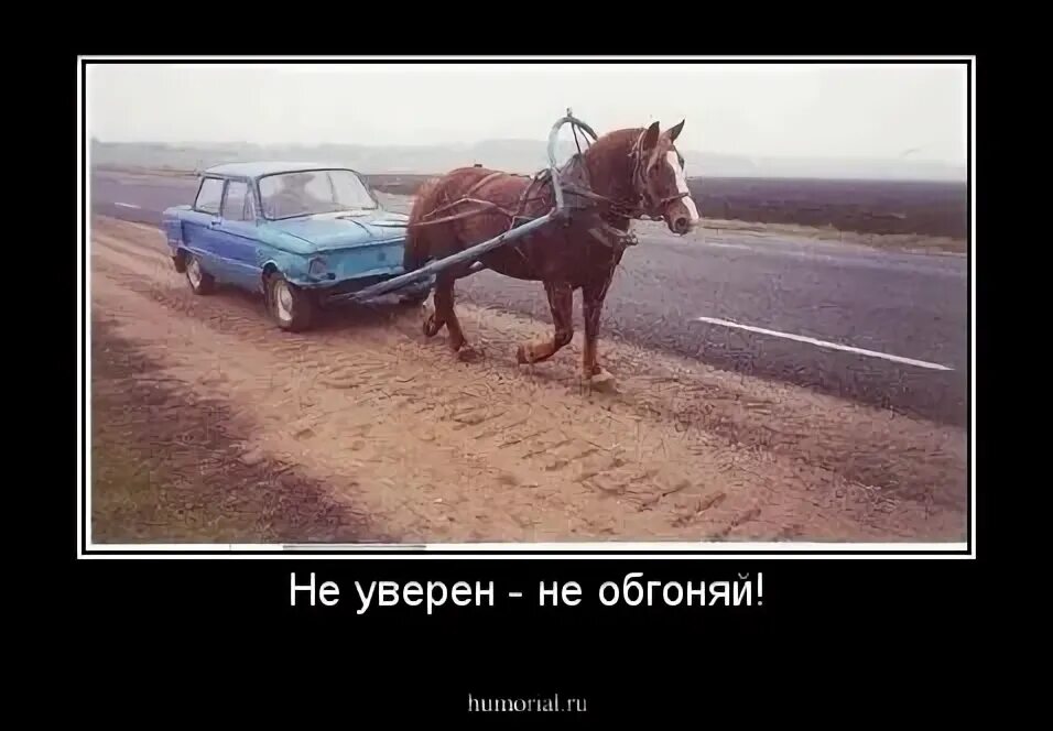 Везу бунтарку обгоняем иномарку