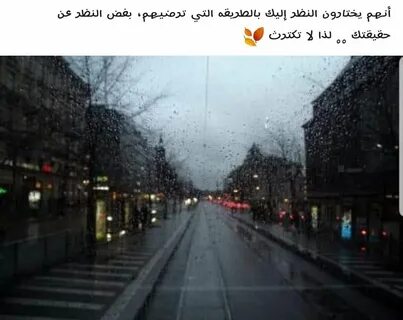 Дождливая зима
