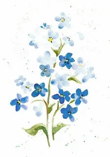 Рисование незабудок