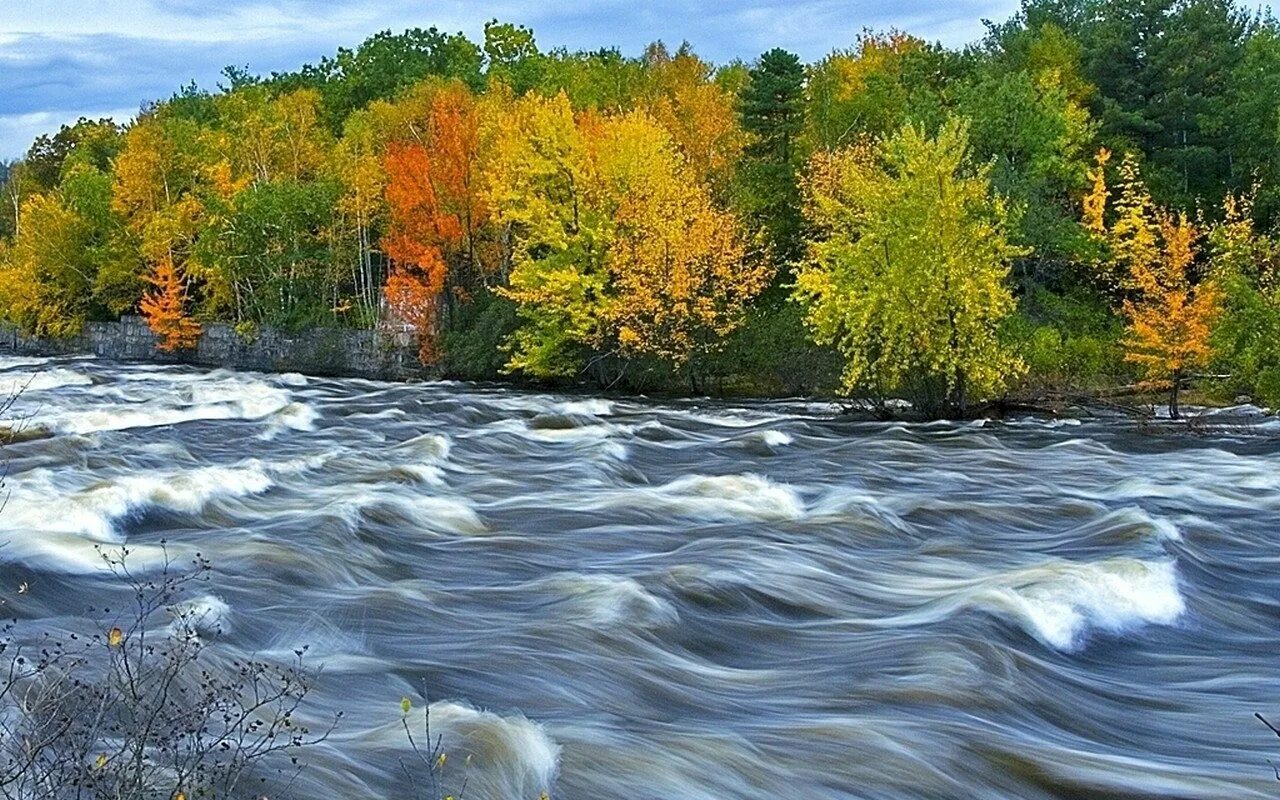 В течении реки. Бежит река. Река с быстрым течением. Вода река.