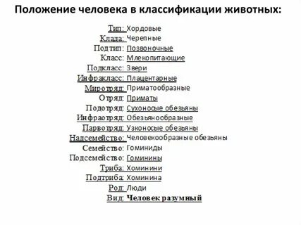 Систематика животных и человека