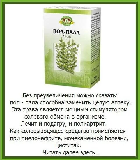 Трава пала пала лечебные свойства. Пол-пала трава эрвы шерстистой показания. Пол пала трава индийская. Трава пол пола инструкция. Пол пала трава в аптеке.