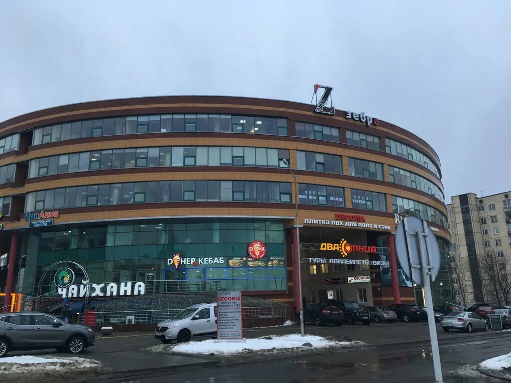 Тц зебра. Тц зебра