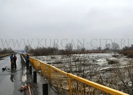 Паводок курган область 2024 сегодня