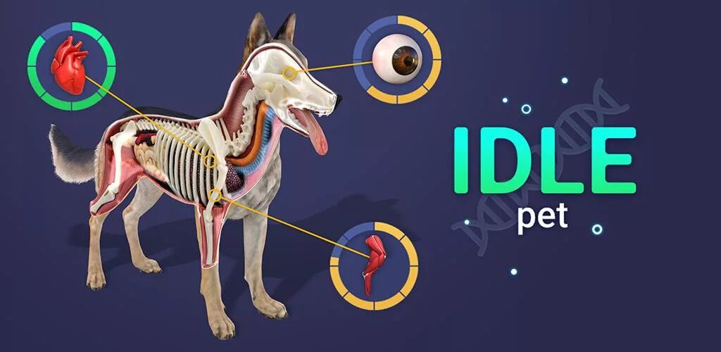 Pet создать. Pet Idle. Create Pet. Pet Idle песик. Питомцы в тап тап.