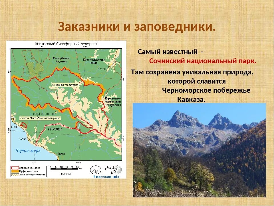 Заповедники Черноморского побережья Кавказа. Кавказский биосферный заповедник на карте Краснодарского края. Заповедник Черноморского побережья Кавказа название. Кавказский заповедник на территории Краснодарского края. Биосферный заповедник примеры