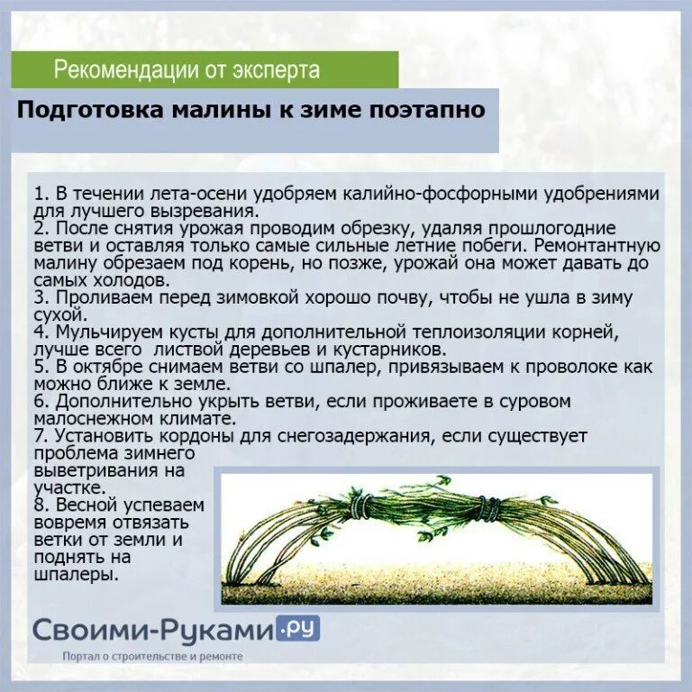 Реши задачу для подкормки животных