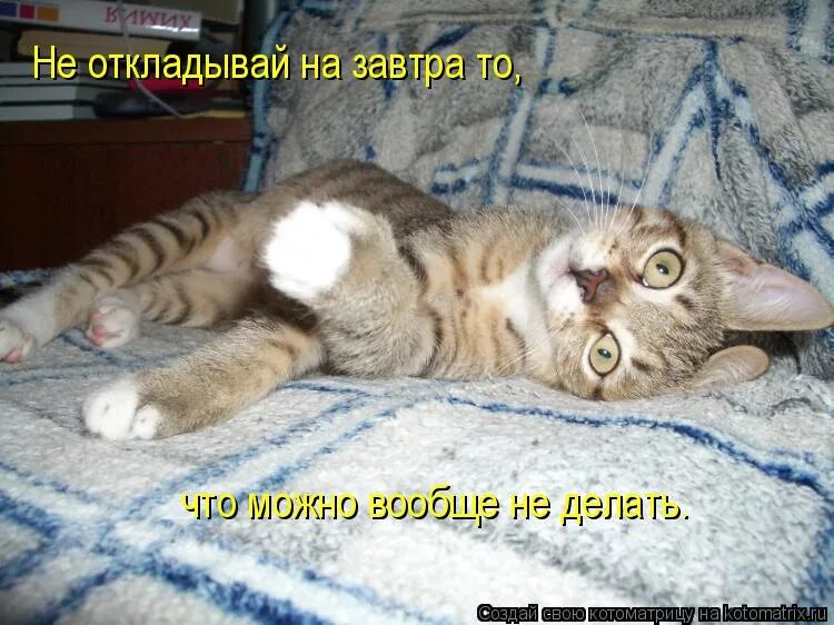 вчера ты говорил что сделаешь это завтра делай сегодня. что можно написать на бумаге. завтра мем. русский супермен завтрамен. что можно сделать на завтра.