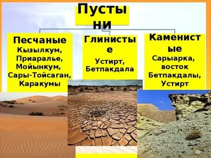 Для этой природной зоны характерна самая